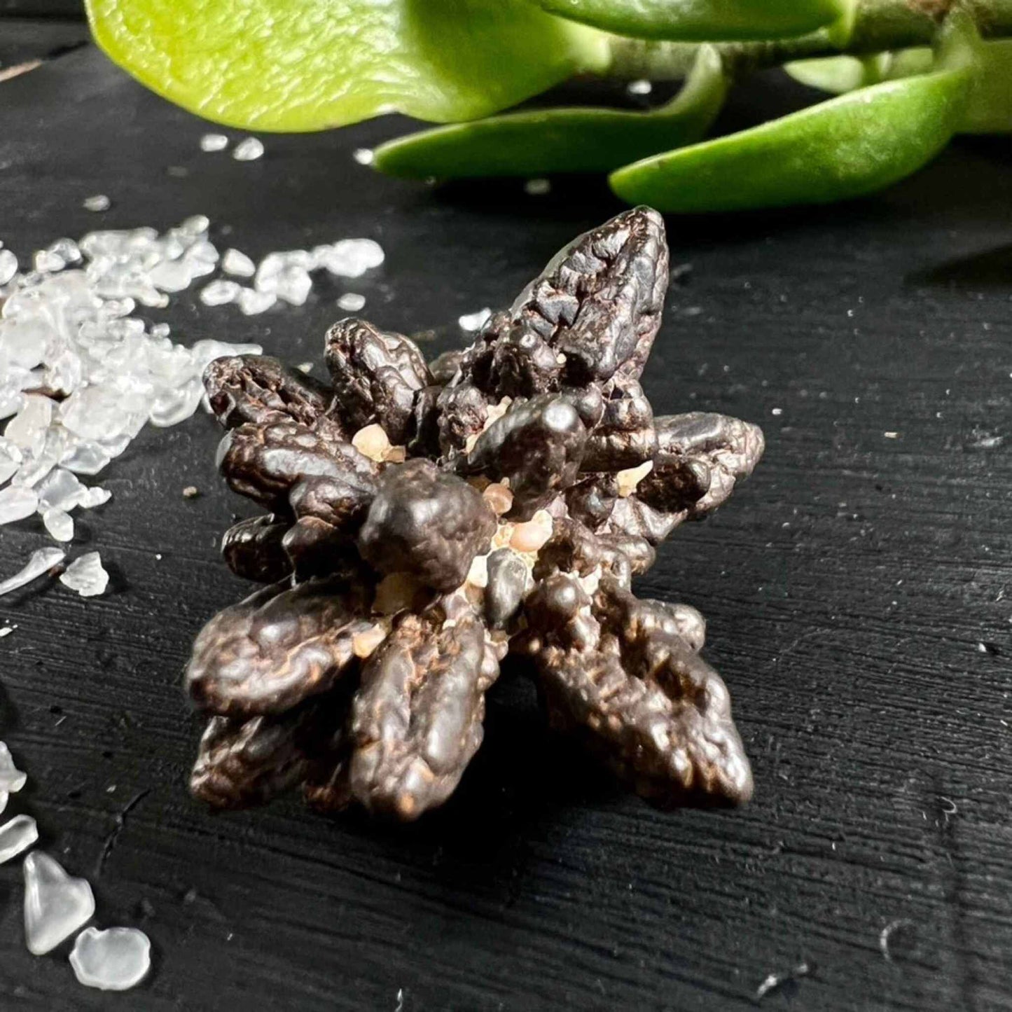 Sternförmiger Prophecy Stone aus dunklem Goethit auf schwarzem Schiefer mit Bergkristall-Splittern – Happy Minerals
