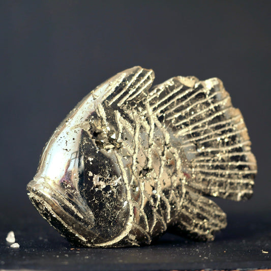 Pyrit Fisch mit goldglaenzenden Facetten, geriffelten Flossen und Kristalldrusen im Bauch | Happy Minerals