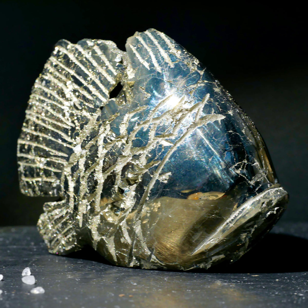 Pyrit Fisch handgraviert mit silbrig-metallischen Rillen, blaugrauer Politur und Glanz | Happy Minerals