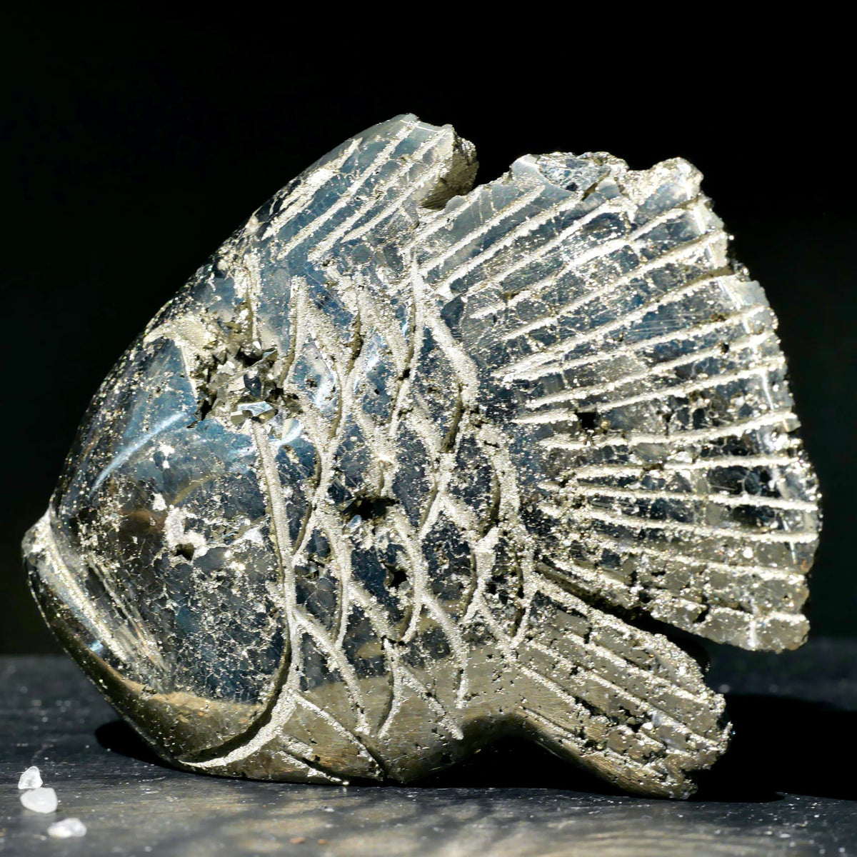 Pyrit-Fisch handgraviert mit metallisch-silbrigen Rillen und facettiertem Schuppenmuster, grau-goldener Glanz | Happy Minerals