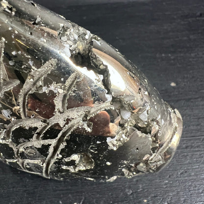 Pyrit Fisch Peru | Nahaufnahme Kopf | irisierender Glanz | offene Struktur | Unikat | Happy Minerals