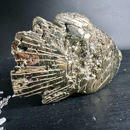Pyrit Fisch Peru | Schwanzflossendetail | fächerförmig | goldglänzende Rippen | Unikat | Happy Minerals