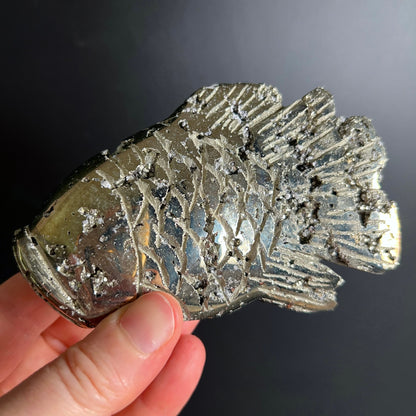 Pyrit Fisch Peru | Rückseite in Hand | glatte Schuppen | metallischer Spiegel | Unikat | Happy Minerals