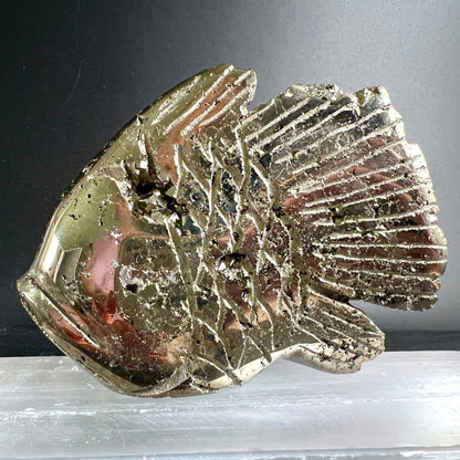 Pyrit Fisch Unikat | auf Selenit | Peru | goldener Glanz | Flosse & Körper | Happy Minerals
