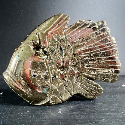 Pyrit Fisch Unikat | Detailansicht Schuppen | Peru | rotbraune Einschlüsse | rauer Glanz | Happy Minerals