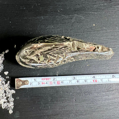 Pyrit Fisch Unikat | Draufsicht mit Massband | Peru | ca. 10 cm Länge | Happy Minerals