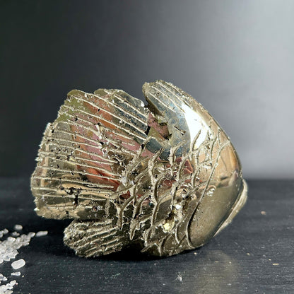 Pyrit Fisch Unikat | goldglänzend | Peru | Seitenansicht links | kristalline Schuppen | Happy Minerals