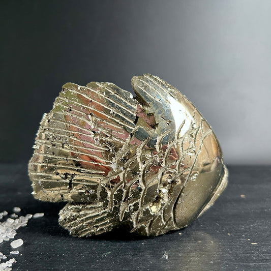 Pyrit Fisch Unikat | goldglänzend | Peru | Seitenansicht links | kristalline Schuppen | Happy Minerals