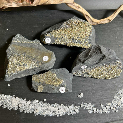 Pyrit in Schungit 57–80mm, goldener Glanz im schwarzen Gestein | Happy Minerals