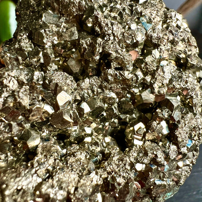 Pyrit Kristalldruse Peru | detailreiche Nahaufnahme | goldene Reflexe | kubische Strukturen | Happy Minerals