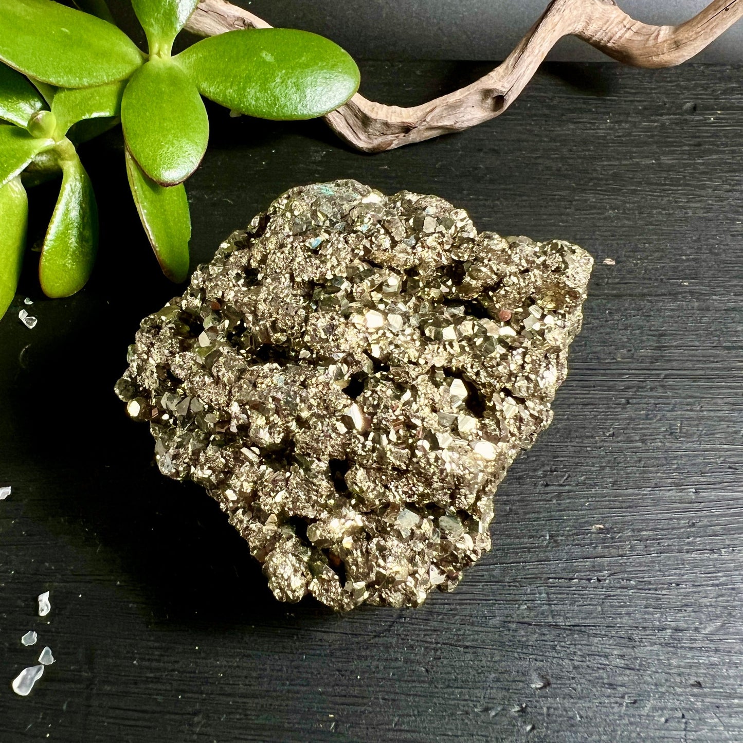 Pyrit Rohstein Peru | goldglänzende Kristalldruse | dunkler Schiefer | grüne Pflanze Deko | Happy Minerals