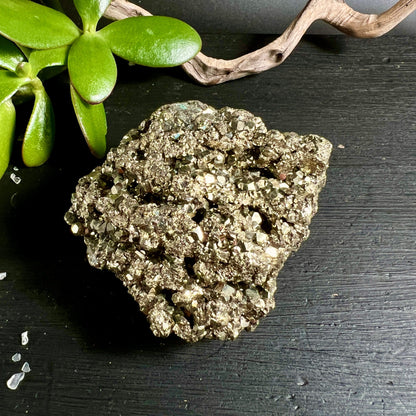 Pyrit Rohstein Peru | goldglänzende Kristalldruse | dunkler Schiefer | grüne Pflanze Deko | Happy Minerals