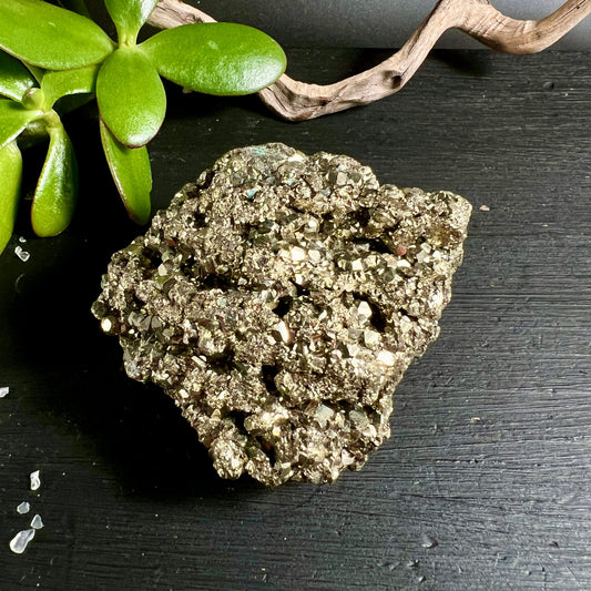 Pyrit Rohstein Peru | goldglänzende Kristalldruse | dunkler Schiefer | grüne Pflanze Deko | Happy Minerals