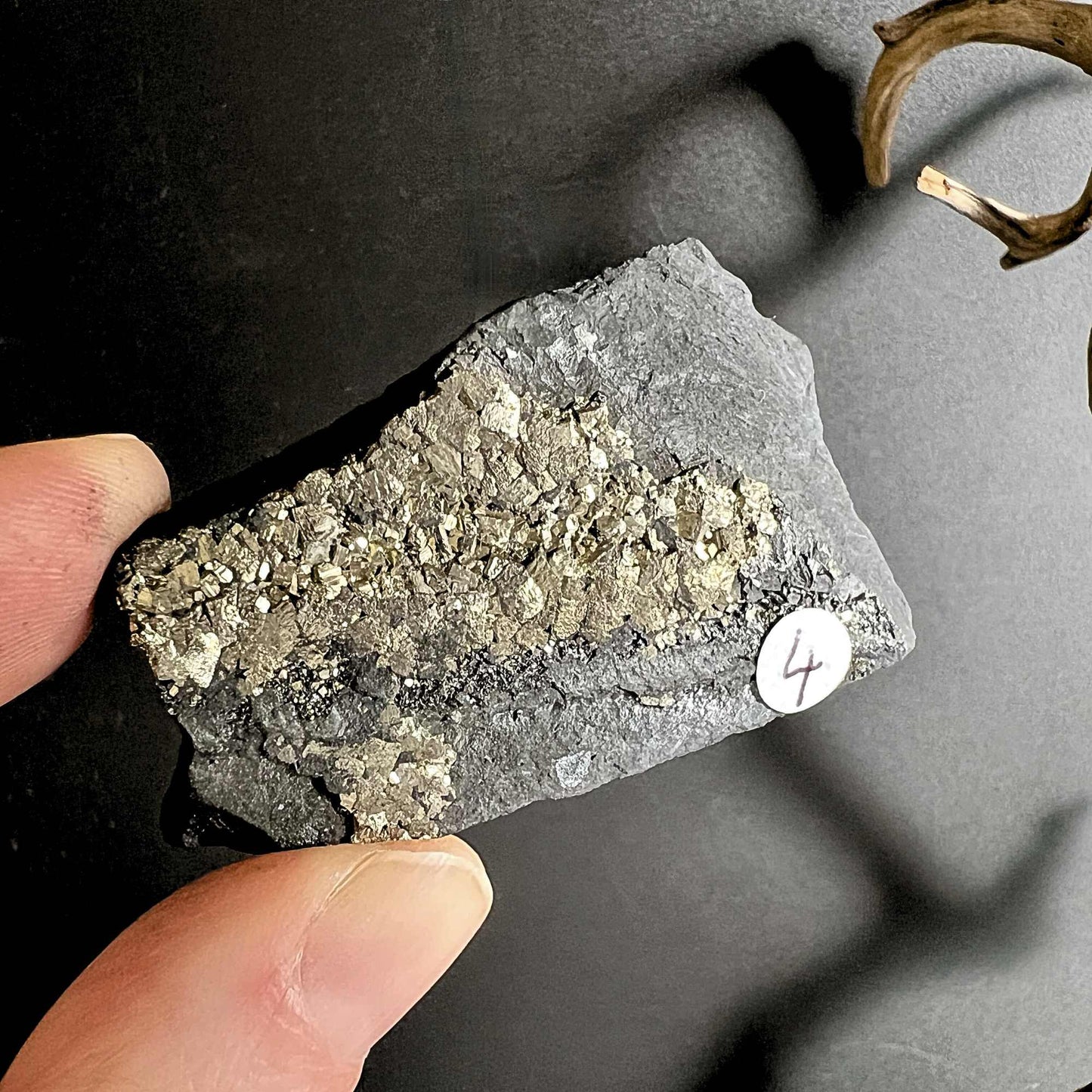 Pyritkristalle in Schungit-Matrix, naturbelassen | Happy Minerals