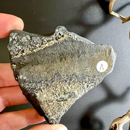 Schutzstein Pyrit-Schungit, Rohform, handverlesen | Happy Minerals