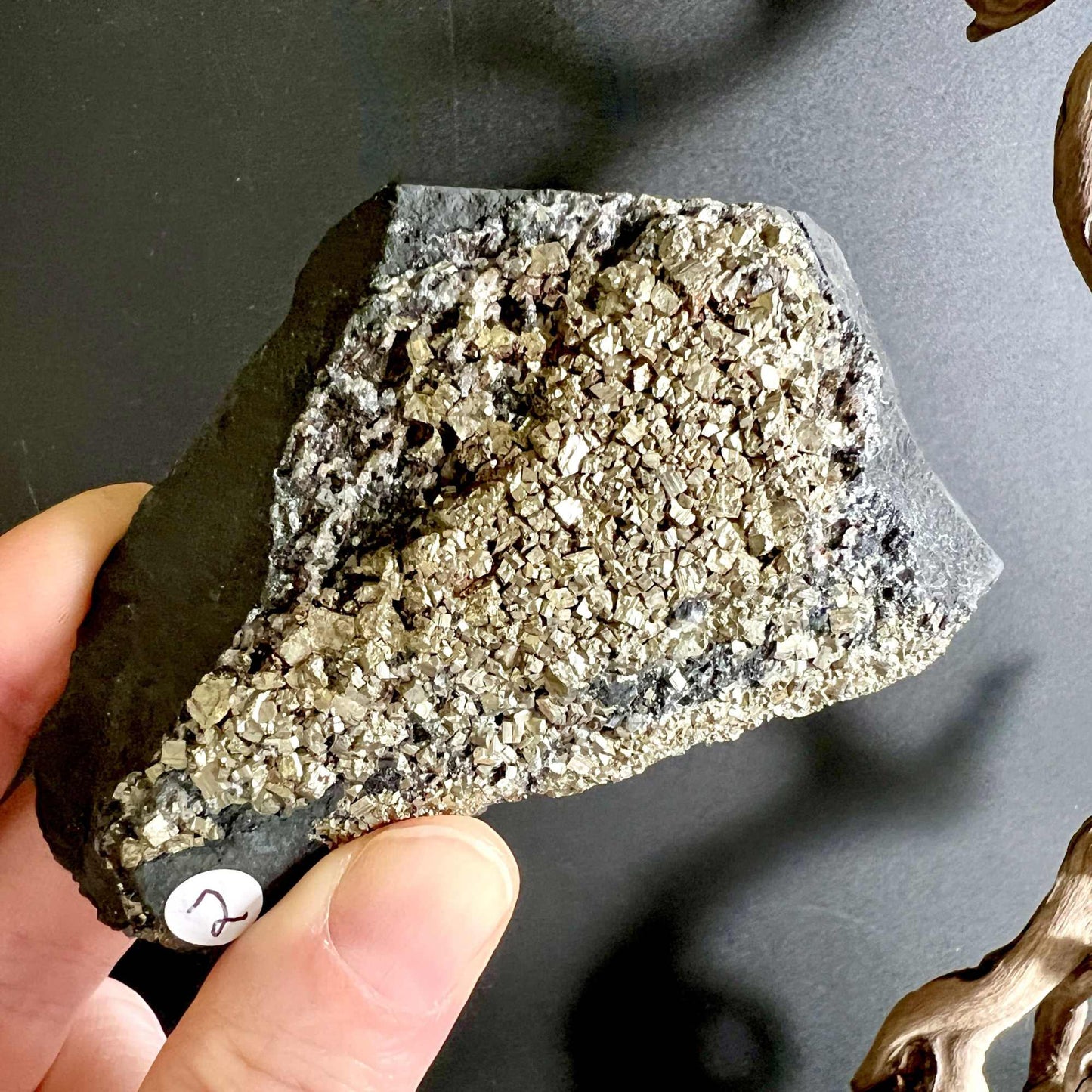 Kombination aus Pyrit und Schungit, Symbol für Licht und Schatten | Happy Minerals