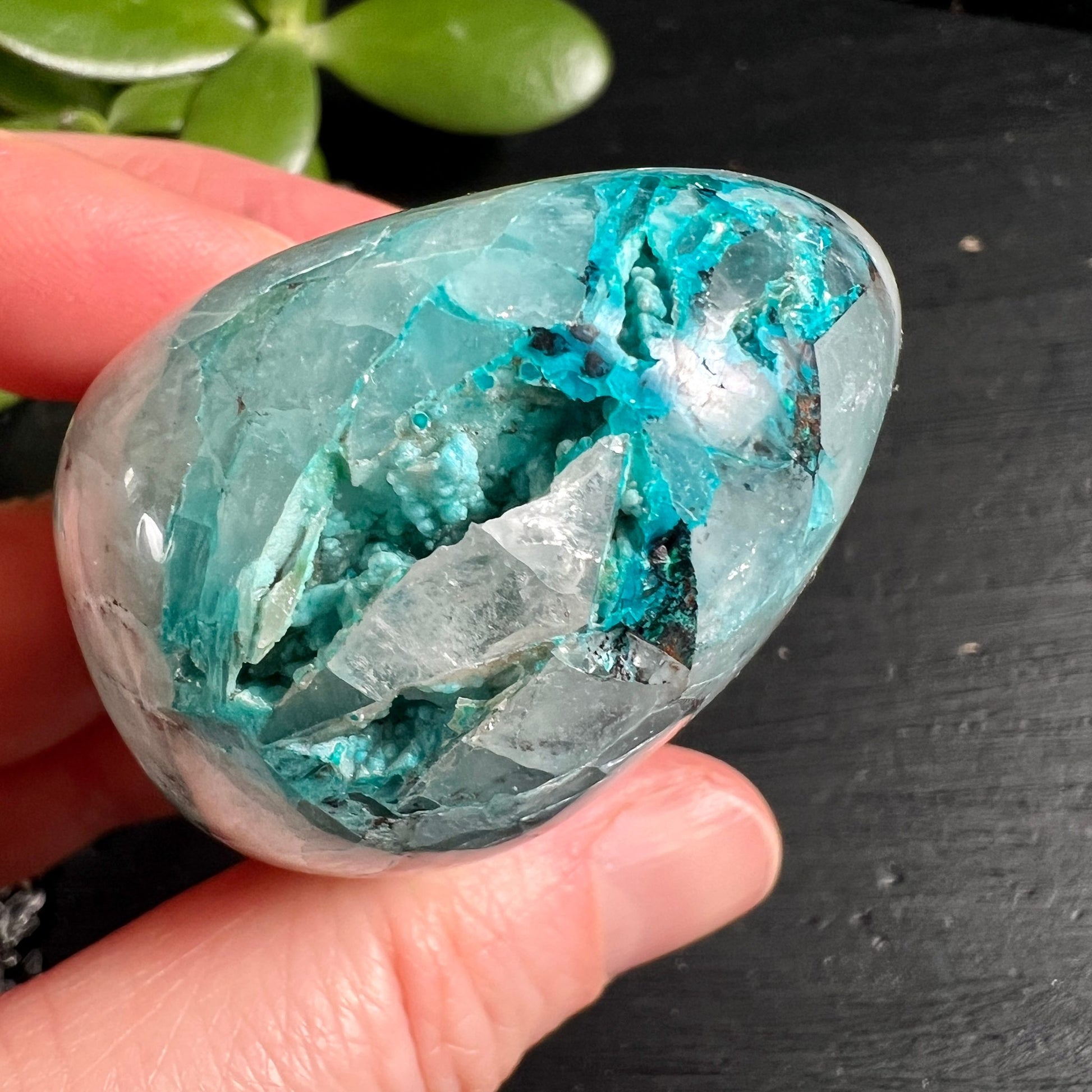 Quantum Quatro Chrysokoll in Hand | intensive Farben | türkis Kristalle | Peru Unikat Größe | Happy Minerals