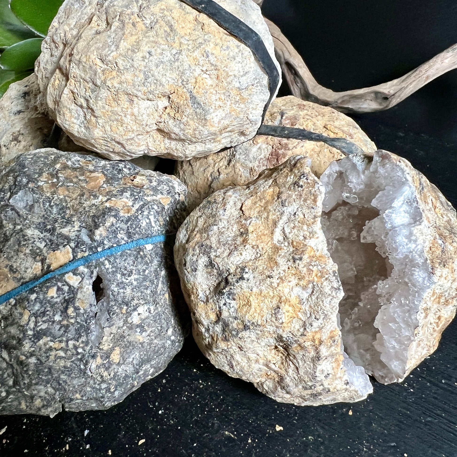 Quarzgeode | geöffnet | kristallgefüllte Kammer | schimmernde Oberflächen | Naturschönheit | Happy Minerals