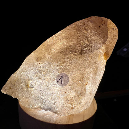 Rauchquarz | Rohstein | Variante 1 | beleuchtet | durchscheinende Kristallstruktur | Happy Minerals