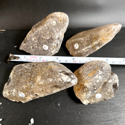 Rauchquarz | Rohsteine | Brasilien | vier Exemplare | Größenvergleich | Happy Minerals