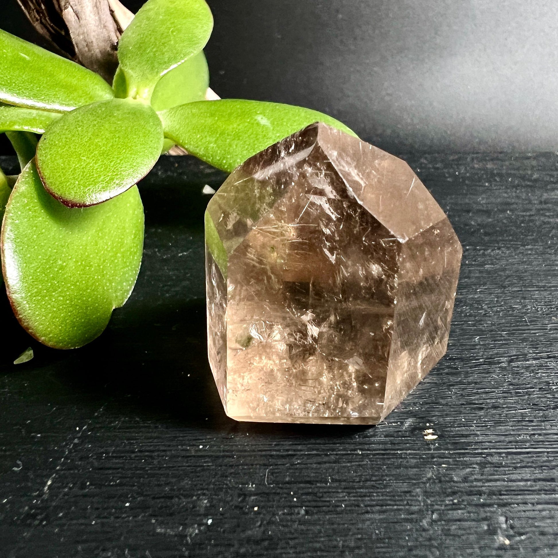 Rauchquarz Spitze | grüne Pflanze Dekoration | natürliche Präsentation | polierte Kanten | Happy Minerals