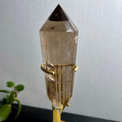 Rauchquarz Vogelcut | Goldständer Nahaufnahme | Ring-Halterung | Jade-Pflanze | Happy Minerals