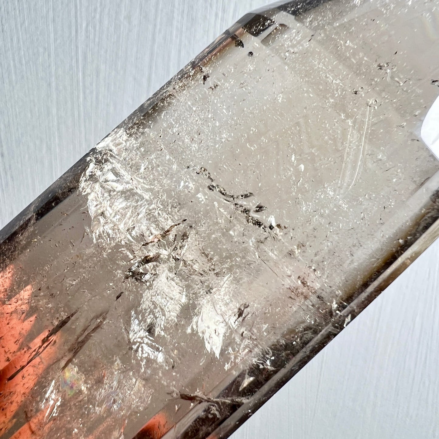 Rauchquarz Vogelcut | Nahaufnahme Körper | schwarze Nadel-Einschlüsse | Klarheit | Happy Minerals