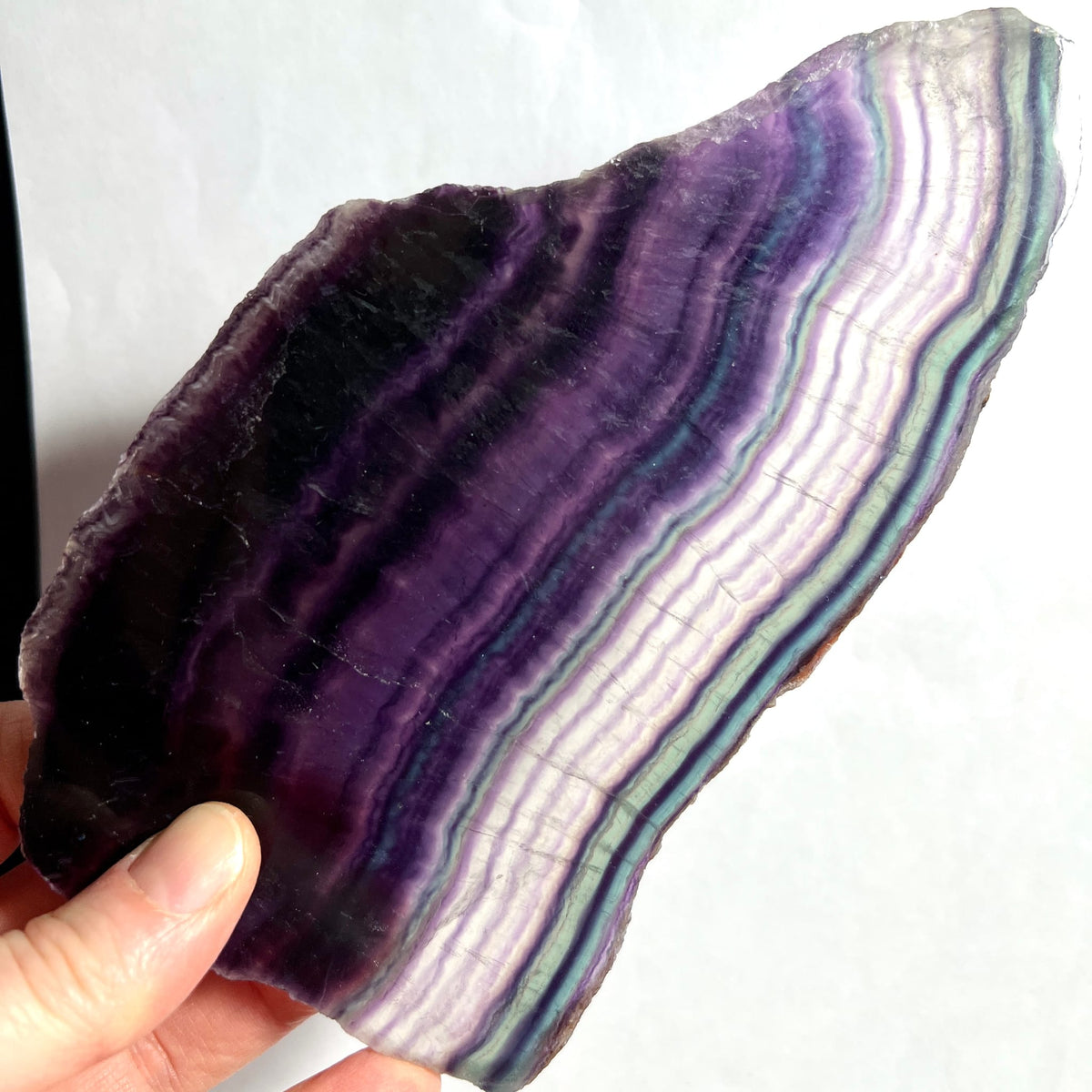 Fluorit Platte mit dunkelvioletten bis türkisen Farbbändern, polierte Fläche mit rauer Kante | Happy Minerals