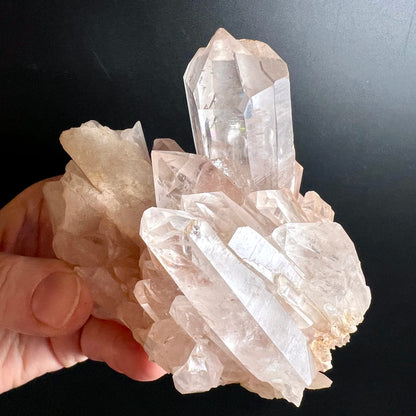 Rosa | Bergkristall | Cluster | in | Hand | gehalten | natürliche | Größe | Madagaskar | Happy Minerals