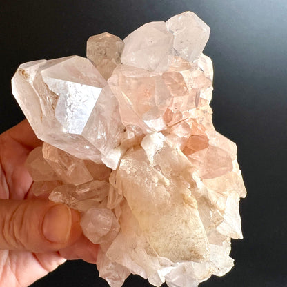 Rosa | Bergkristall | Gruppe | Nahaufnahme | Hand | facettierte | Kristallflächen | Happy Minerals