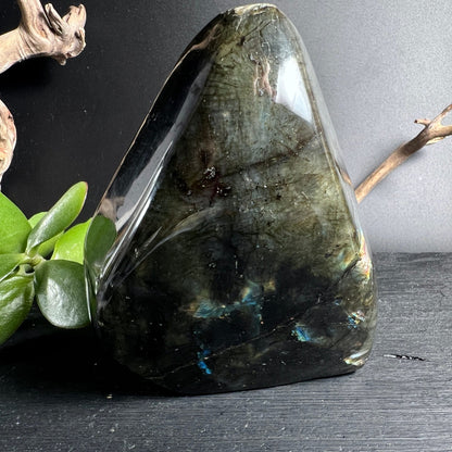 Rosa Labradorit Rückseite | dunkle Basis | subtile Schimmer | stehende Form Happy Minerals