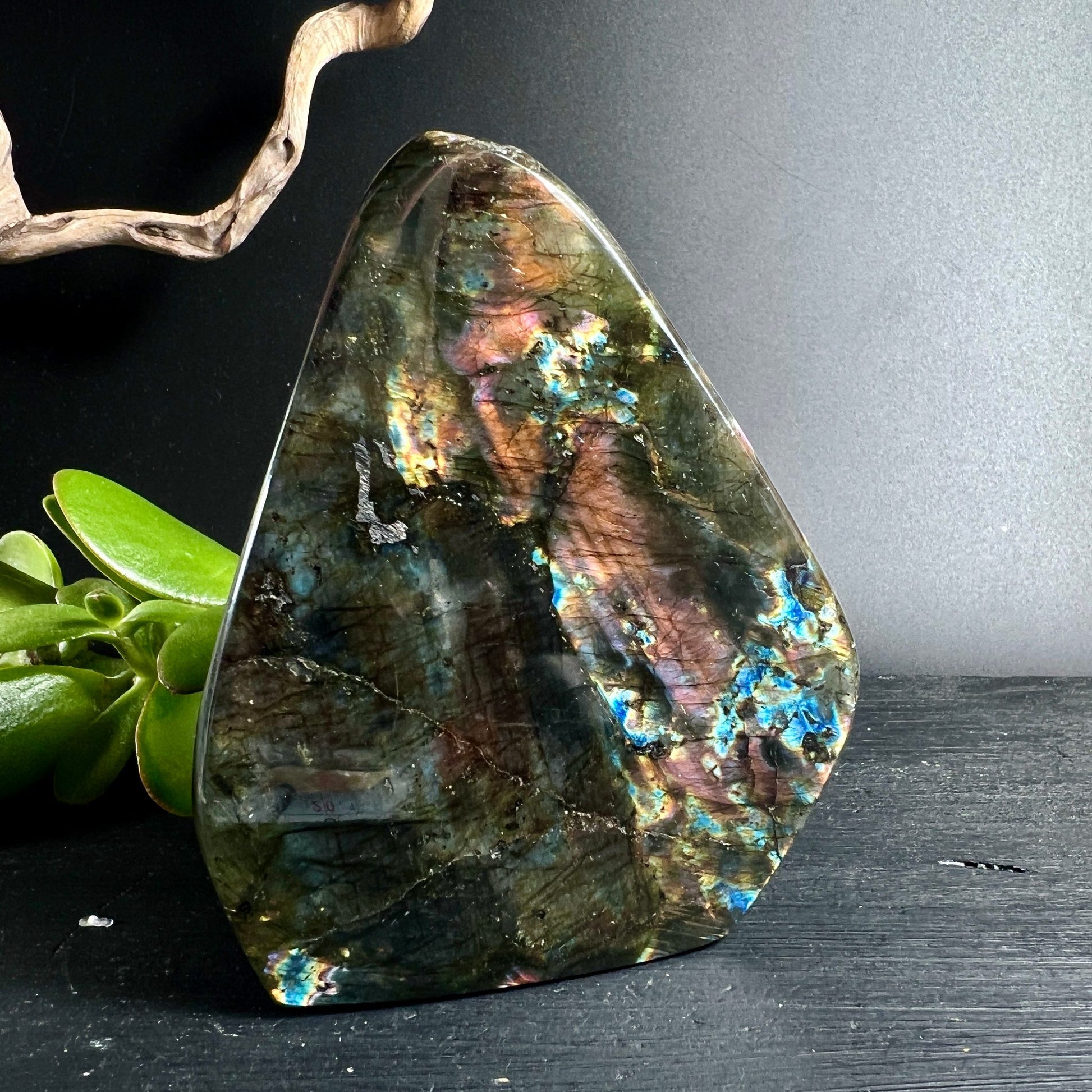 Rosa Sunset Labradorit Madagaskar | schillernde Regenbogen-Farben | Freeform stehend | Happy Minerals