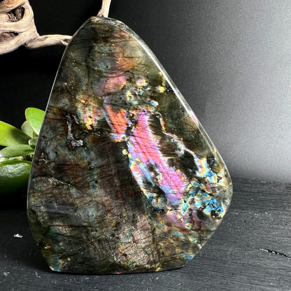 Rosa Sunset Labradorit | intensive Pink-Orange Schiller | polierte Oberfläche | Unikat Happy Minerals