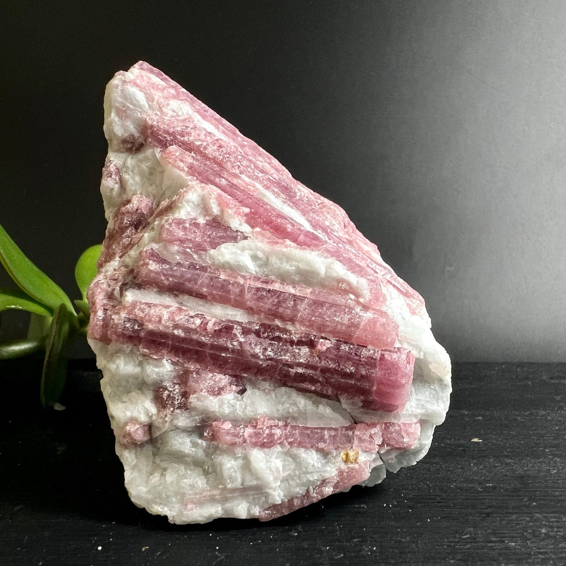 Rosa Turmalin Rohkristall | längliche prismatische Struktur | weiße Matrix | Brasilien Mineralien | Happy Minerals