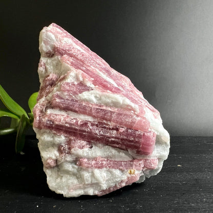 Rosa Turmalin Rohkristall | längliche prismatische Struktur | weiße Matrix | Brasilien Mineralien | Happy Minerals