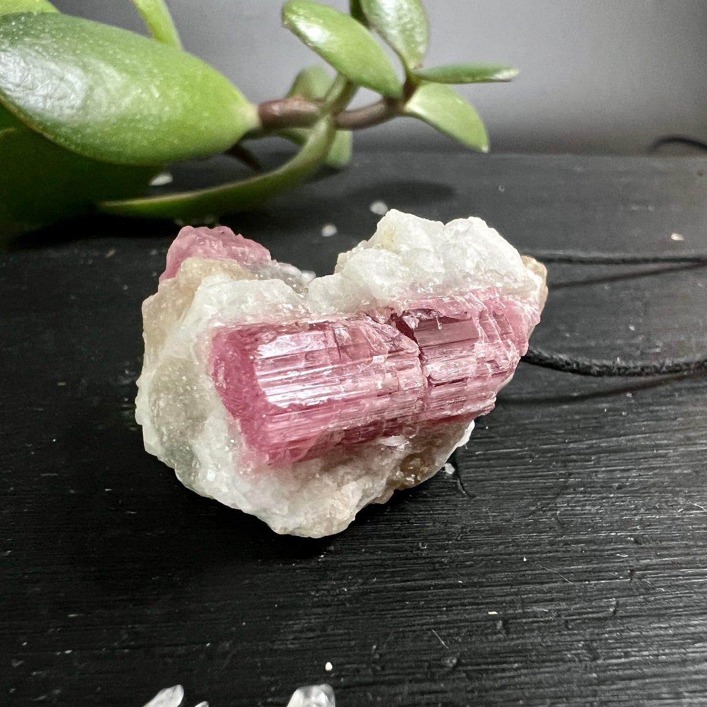 Rosa Turmalin Rohkristall mit parallelen Längsrillen, tief pink-magenta, eingebettet in weisse Albit-Matrix | Happy Minerals