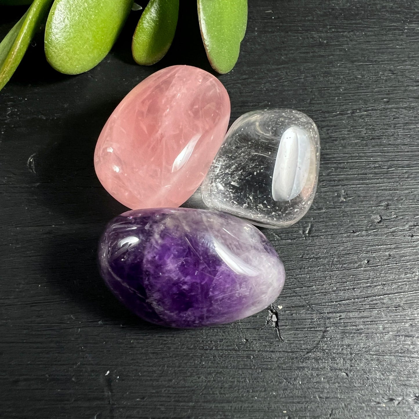 Rosenquarz | Amethyst | Bergkristall Trommelsteine | Holzhintergrund | Grüne Pflanze | Happy Minerals
