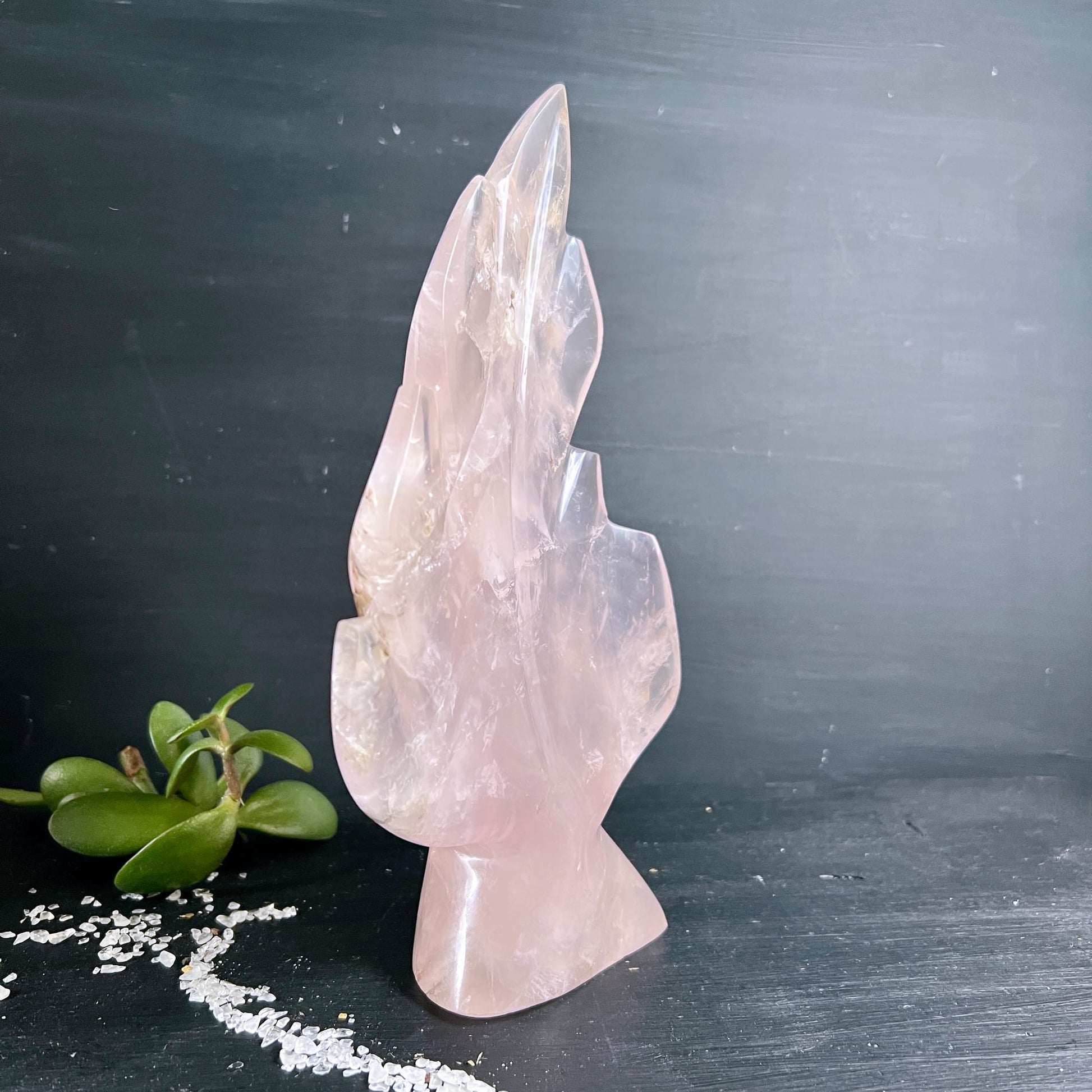 Rosenquarz Blatt Skulptur | seitliche Ansicht | transluzentes Rosa | elegante Form | Madagaskar | Happy Minerals