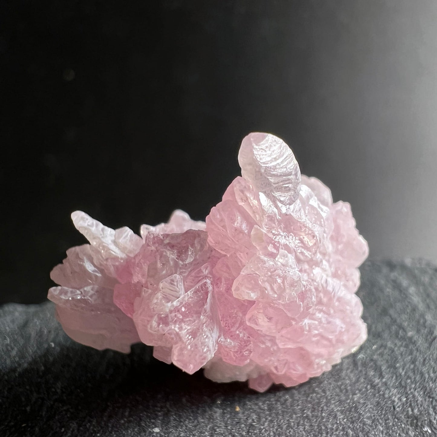 Rosenquarz Rohstein | großer Einzelkristall | zartrosa Spitze | dichter Cluster | Brasilien | Happy Minerals