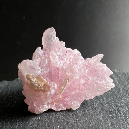 Rosenquarz Rohstein | Frontalansicht | goldener Muscovit | strahlend rosa | Brasilien | Happy Minerals