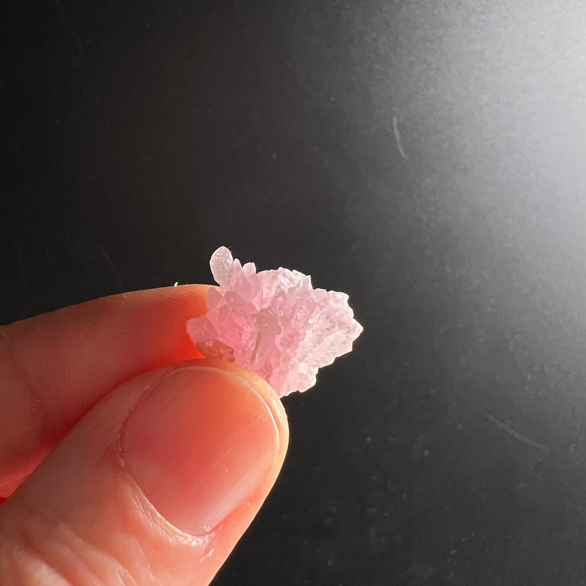 Rosenquarz Rohstein | Fingerprobe | Größenvergleich | zartrosa Minicluster | Brasilien | Happy Minerals