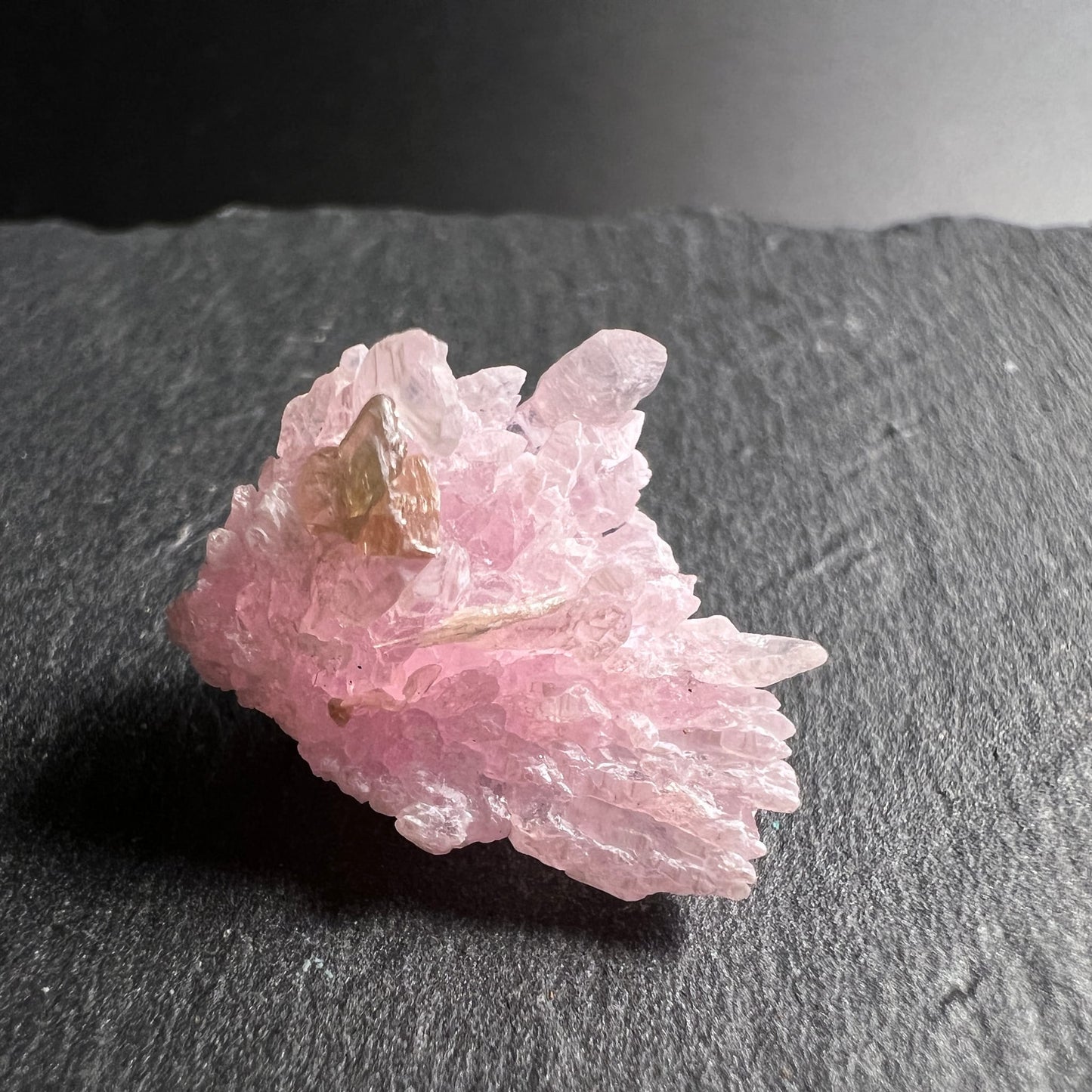 Rosenquarz Rohstein | Seitenansicht | goldener Muscovit | perlmuttglänzende Spitzen | Happy Minerals