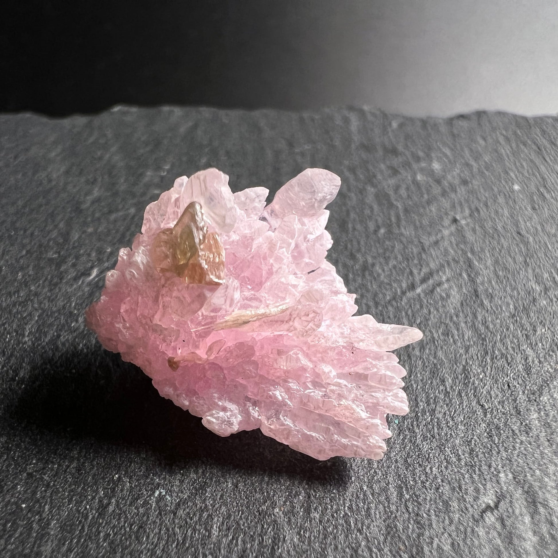 Rosenquarz Rohstein | Seitenansicht | goldener Muscovit | perlmuttglänzende Spitzen | Happy Minerals