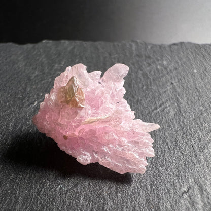 Rosenquarz Rohstein | Seitenansicht | goldener Muscovit | perlmuttglänzende Spitzen | Happy Minerals