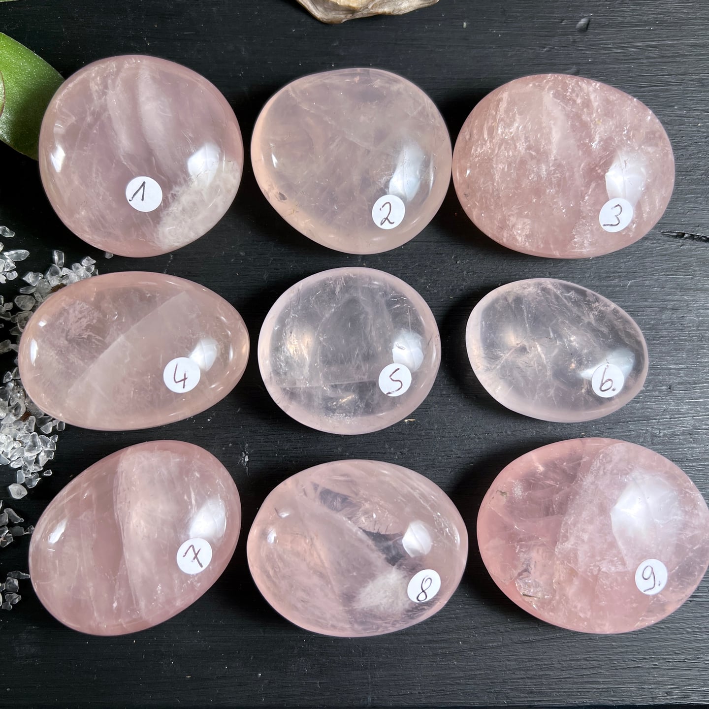 Rosenquarz Handschmeichler Madagaskar | 9 Varianten | zartrosa Kristalle | Übersicht | Happy Minerals
