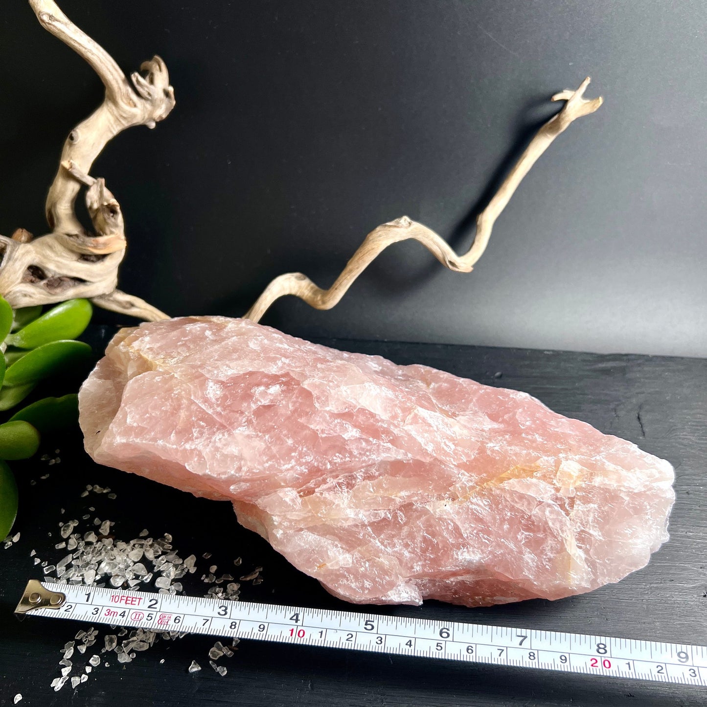 Rosenquarz Rohstein mit Maßband | 8 Zoll groß | rosa Kristall Brasilien | Größenvergleich | Happy Minerals