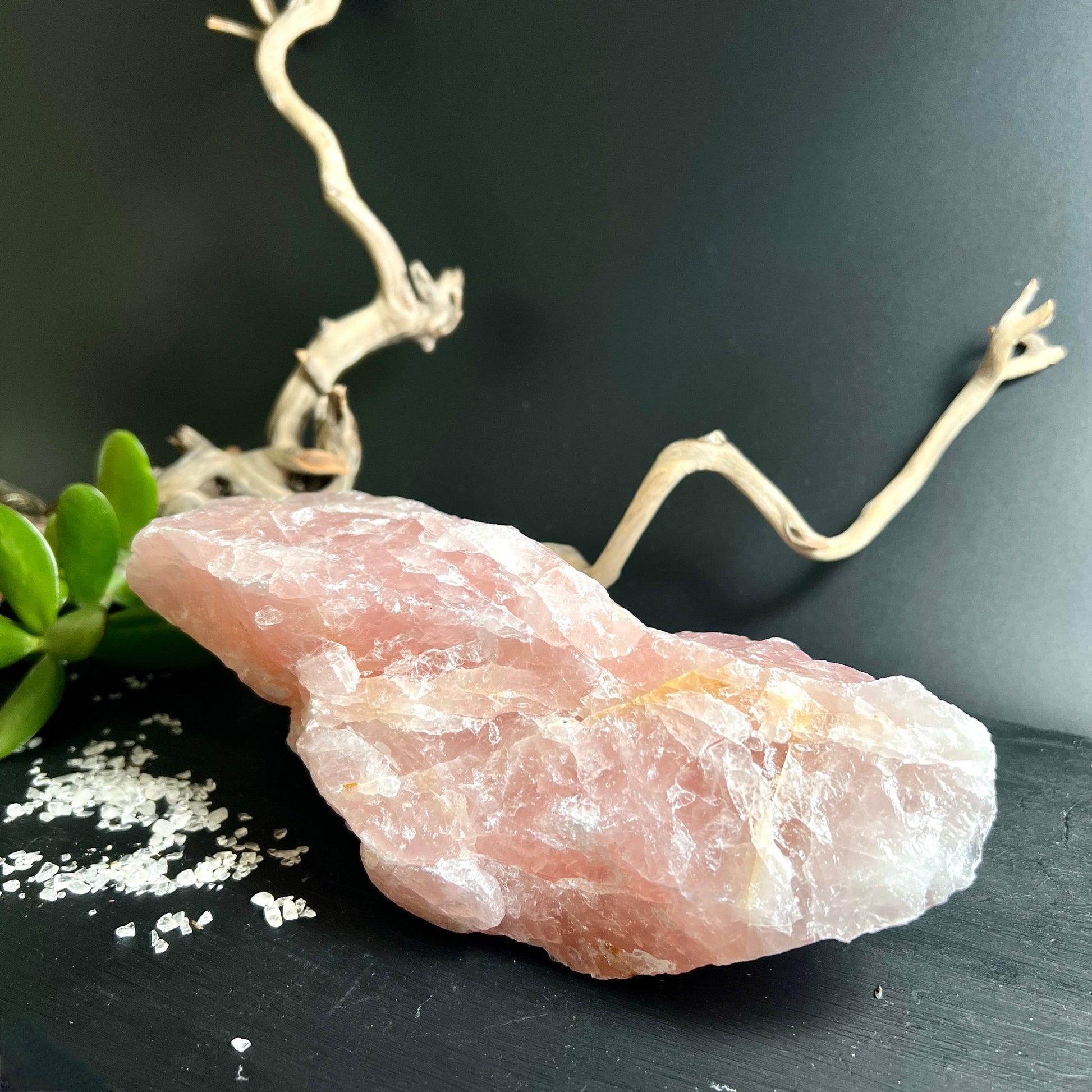 Rosenquarz Rohstein Seitenansicht | elegante Holzdeko | Sukkulente | rosa Kristall | Brasilien | Happy Minerals