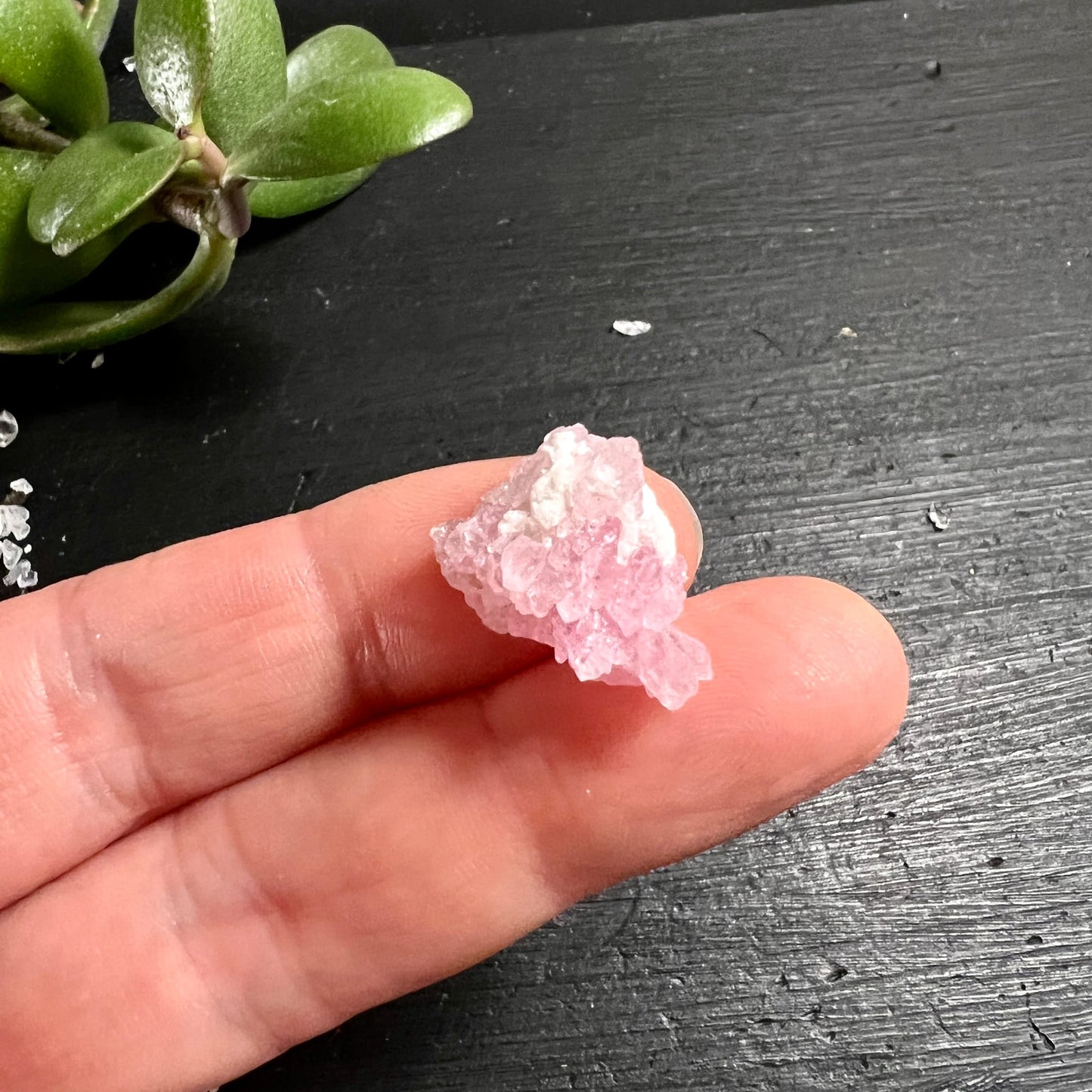 Kristalliner Rosenquarz Rohstein 17mm, zartrosa mit weissen Einschlüssen, drusenartiger Oberfläche, auf Fingerkuppe | Happy Minerals