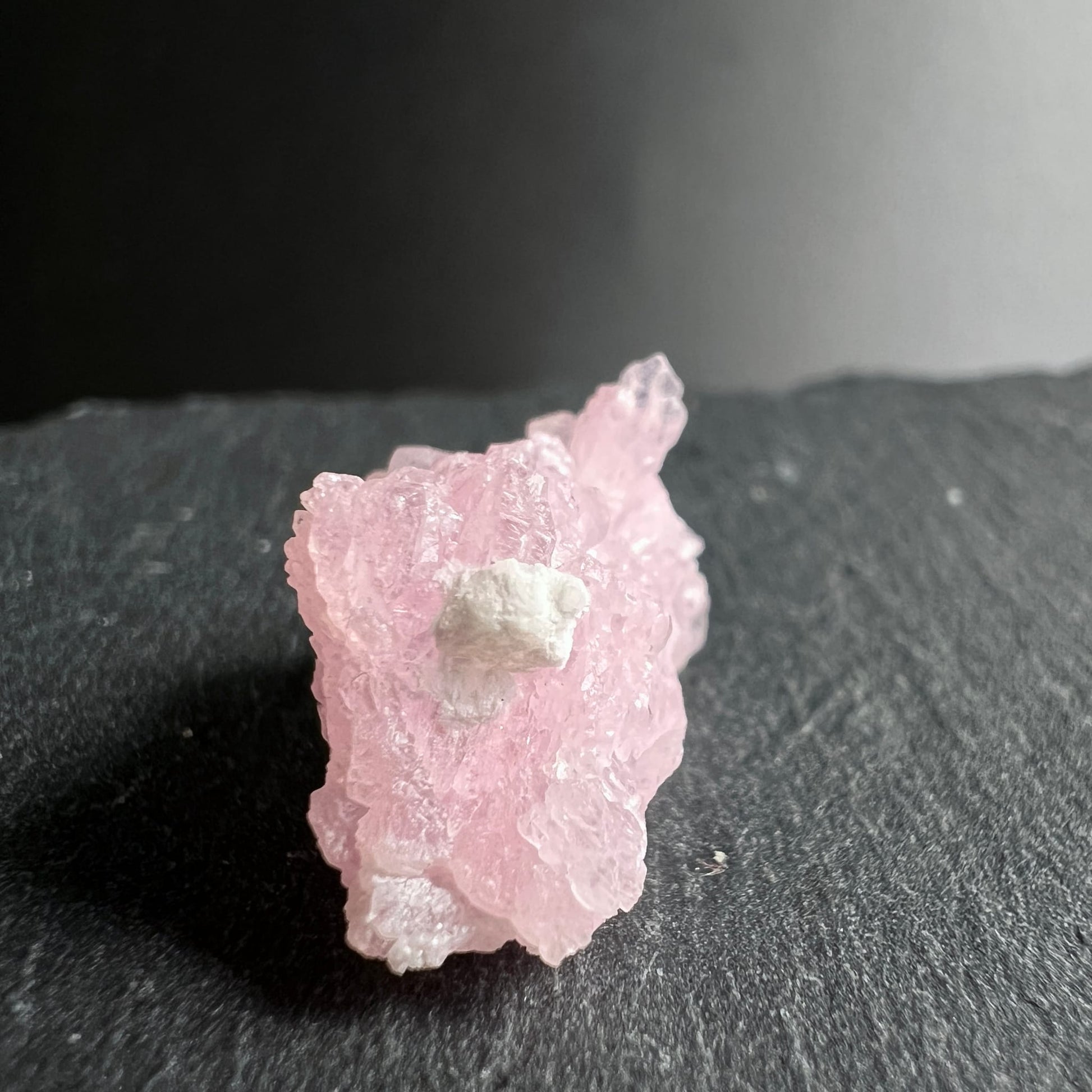 Kristalliner Rosenquarz Rohstein in zartem Rosa mit weißem Muscovit-Einschluss, schuppige Kristallstruktur | Happy Minerals