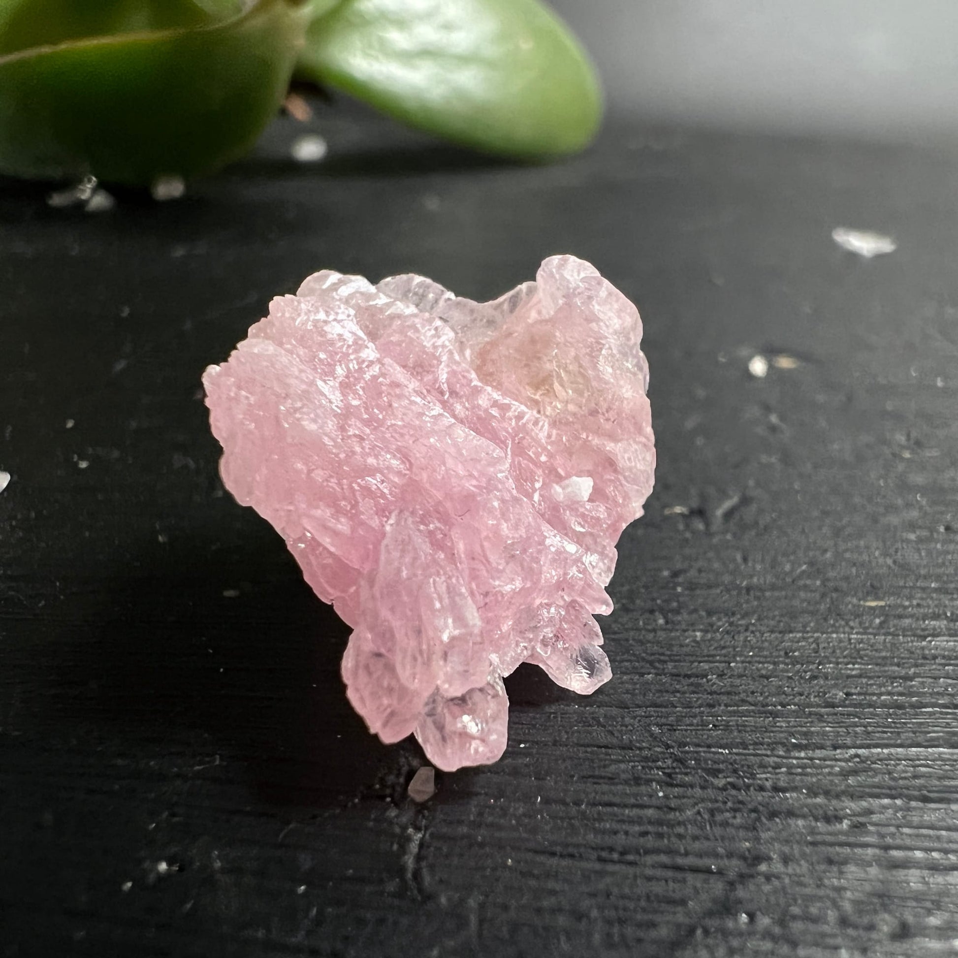 Kristalliner Rosenquarz Rohstein, zartrosa mit glasig-transparenten Spitzen, fächerförmige Kristallgruppe | Happy Minerals